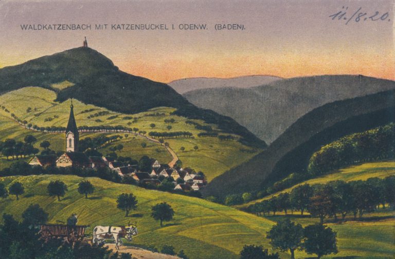 Waldkatzenbach